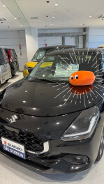 中古車情報